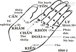 Ý nghĩa các cung bát quái trên bàn tay bạn