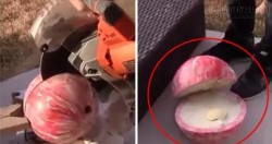 Xẻ quả bowling làm đôi, anh chàng bất ngờ khi nhìn thấy thứ chứa trong đó