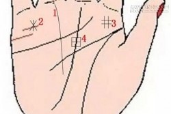 Những đường chỉ tay tiết lộ bạn là tỉ phú