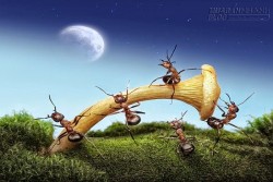 Hai câu chuyện ngắn mang thông điệp ý nghĩa về dũng khí và sự kiên trì