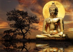 Nếu Phật thực sự tồn tại, bạn sẽ được gì và mất gì?