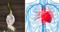 Tỏi mọc mầm: Những công dụng quý không nhiều người biết