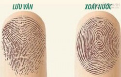 Bạn phải là người cực may mắn mới có hoa tay trên những ngón tay này