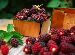 Làm đẹp da cuối tuần với các mẹo hay từ dân gian