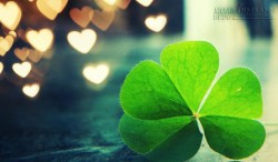 Top 3 con giáp may mắn suốt tháng Tư