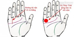 Tướng bàn tay của những người giỏi kiếm tiền