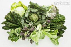 Những cặp thuốc – thực phẩm khi dùng chung có thể giết người