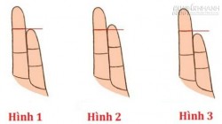 Chiều dài ngón út tiết lộ về công danh, sự nghiệp, tình yêu