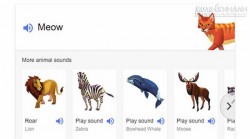 Google ra mắt tính năng nghe tiếng động vật