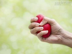 Con giáp nào nhớ lâu thù dai vào... điểm danh