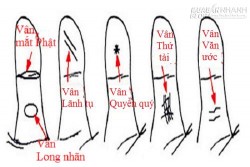 Đường vân đặc biệt trên ngón tay cái bật mí điều gì về bạn?