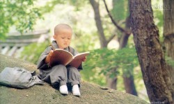Cách tích đức ngay cả khi không có điều kiện vật chất, bạn đã biết?
