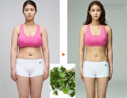 1 nắm rau diếp cá – 3 cách giảm 5kg trong 1 tuần nhanh – gọn – nhẹ