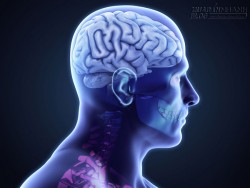 5 siêu thực phẩm ngăn ngừa chứng rối loạn não