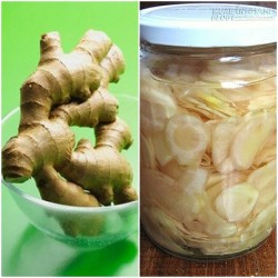Liều thuốc vàng Gừng ngâm giấm giúp giảm cân, trị viêm khớp, mất ngủ