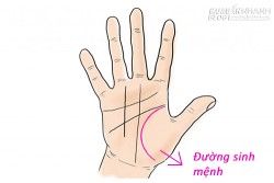 Quên ngay việc bạn có đường sinh mệnh ngắn, bởi đây mới là cách chính xác nhất đoán vận mệnh của bạn!