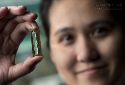 Nữ nghiên cứu sinh gốc Việt phát minh ra pin lithium trọn đời