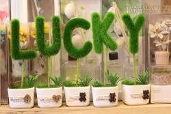 Những con giáp chào đón may mắn khi tháng 5 tới