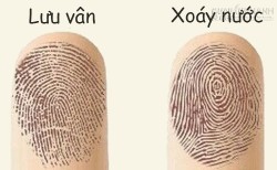 Kiểm tra vân tay để biết mình có khả năng trở thành tỷ phú hay không