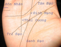 Xem chỉ tay tiên đoán tương lai