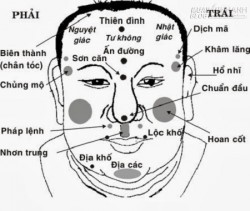 Tìm hiểu về tướng xương trong nhân tướng học