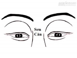 Sơn Căn: Vị trí và đặc điểm tướng cách