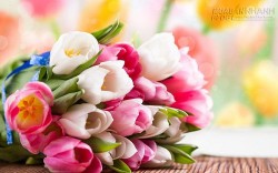 Tổng quan tử vi vận mệnh hung - cát của 12 con giáp tháng 5/2016