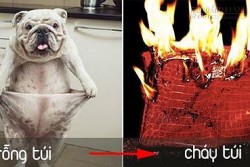 Những con giáp cháy túi trong 6 tháng cuối năm
