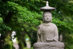 Phật dạy cách tiết chế khi ngạo mạn