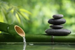 4 bước chuyển hóa phiền muộn theo lời Phật