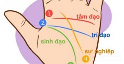 Thầy hướng dẫn, chỉ cách bạn tự xem được tướng bàn tay, chuẩn – chính xác không ngờ