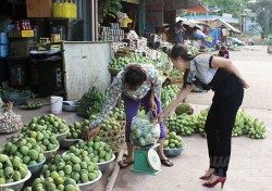 Nghe câu chuyện bán xoài và nghệ thuật buôn bán của bà chủ sạp