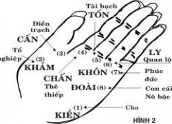 Xem tướng tay và bàn chân chi tiết, biết ngay số phận GIÀU SANG, NGHÈO KHÓ
