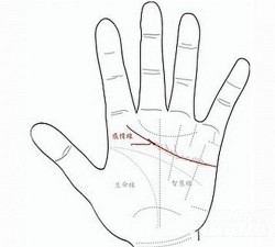 Nếu bàn tay có 1 trong 6 dấu hiệu này, bạn sẽ lấy chồng GIÀU SỤ, có số sướng như tiên