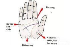 Phụ nữ sở hữu tướng tay này có vận đào hoa cả đời