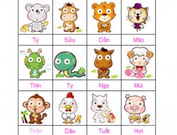 12 con giáp được ông trời ban tặng TÀI NĂNG đặc biệt, VẬN MAY nào?