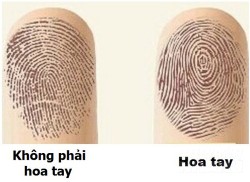 Liếc nhìn qua bàn tay là biết ngay trời cho ai giàu có, phạt ai nghèo nàn