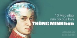 10 Mẹo giúp não bộ của bạn thông minh hơn một bậc