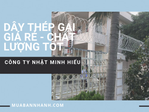 Dây thép gai giá rẻ Chất lượng tốt trên MuaBanNhanh