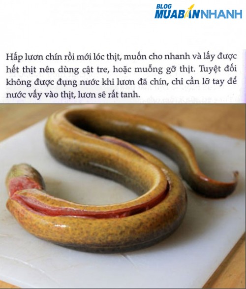 Sơ chế lươn không tanh