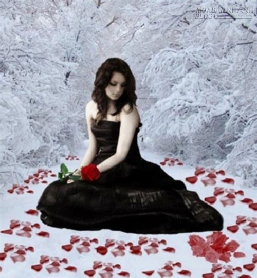 M&ocirc;̣t chuy&ecirc;̣n tình thấm đẫm nước mắt