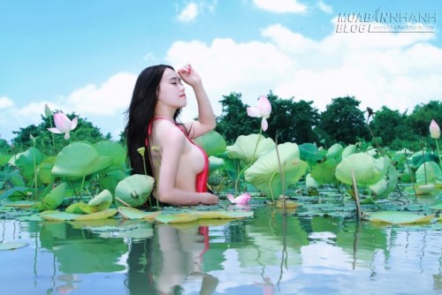 Hot girl Hà thành bên đầm sen