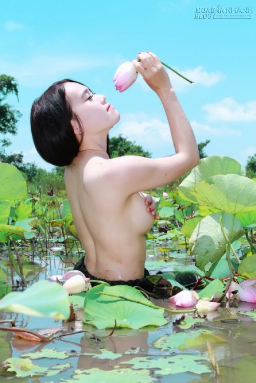 Hot girl Hà thành bên đầm sen