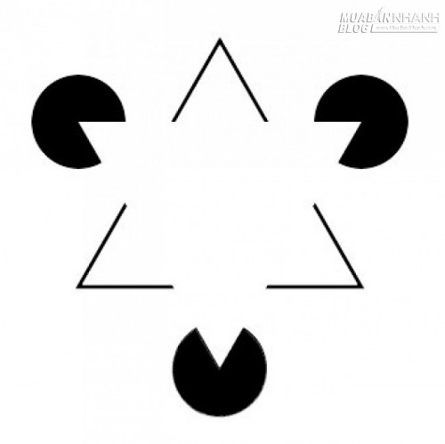 Dung lượng file JPEG c&oacute; thực sự phản &aacute;nh ch&iacute;nh x&aacute;c chất lượng bức ảnh