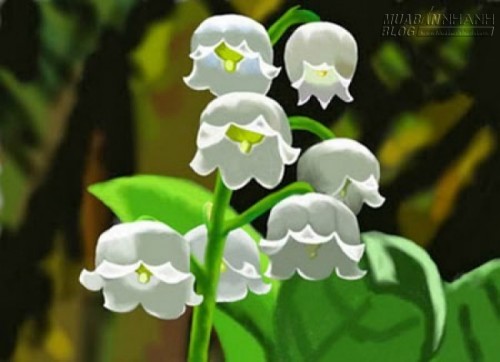 Những loại c&acirc;y trồng trong nh&agrave; nguy hại nếu trẻ nhỏ lỡ ăn phải - 9