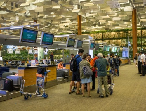 C&oacute; g&igrave; tr&ecirc;n chuyến bay gần 400 triệu/v&eacute; của Singapore Airlines?