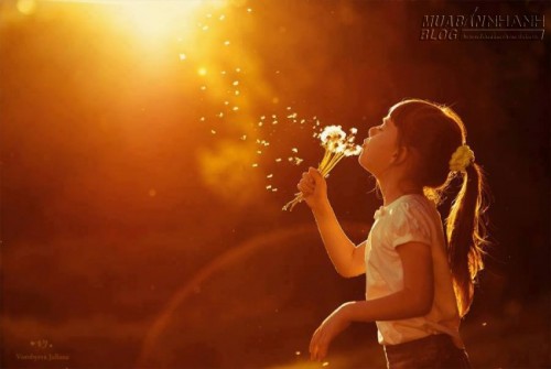 Nỗi buồn chậm r&atilde;i