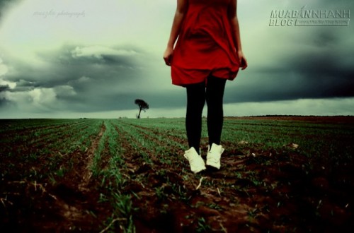 Những thi&ecirc;n t&agrave;i đơn độc