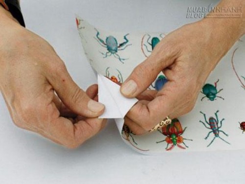 Bí quyết trang trí bàn ăn đơn giản nhanh và đẹp mắt