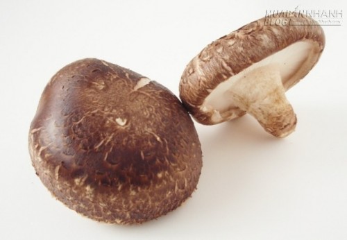 C&aacute;ch chọn mua nấm an to&agrave;n, thơm ngon